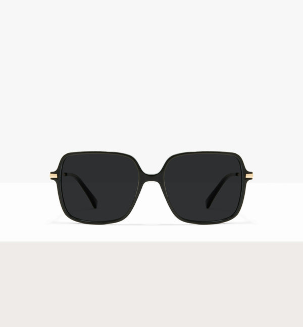 Black Gold--front_image_sun