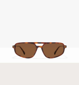 Brown Tort--front_image_sun