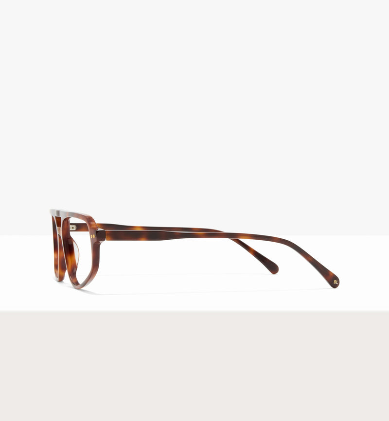 Brown Tort--side_image
