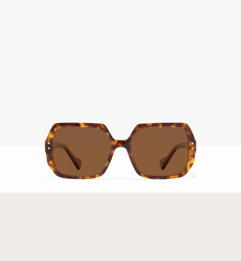 Copper Tort--front_image_sun