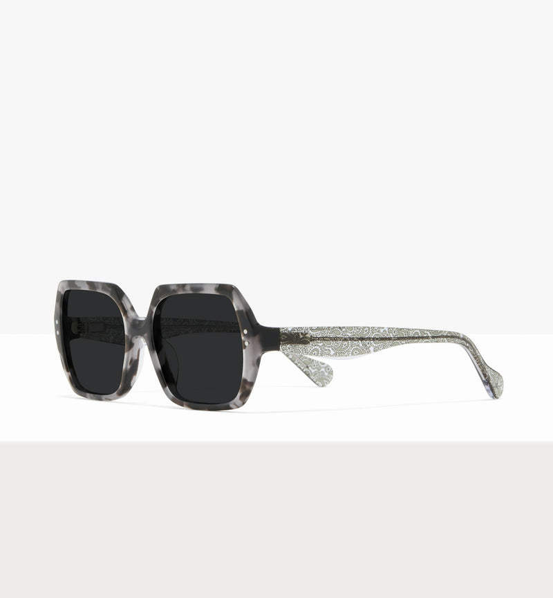 Grey Tort--angled_image_sun
