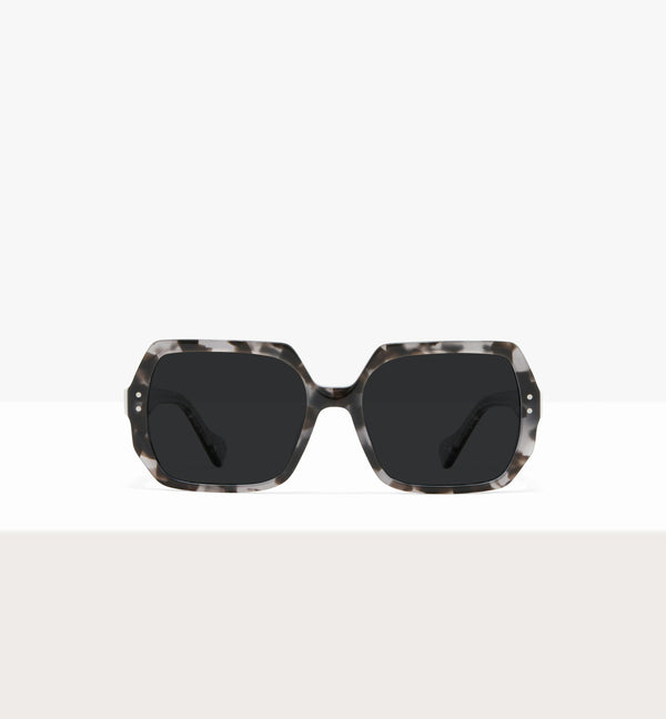 Grey Tort--front_image_sun