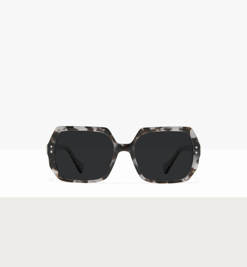 Grey Tort--front_image_sun