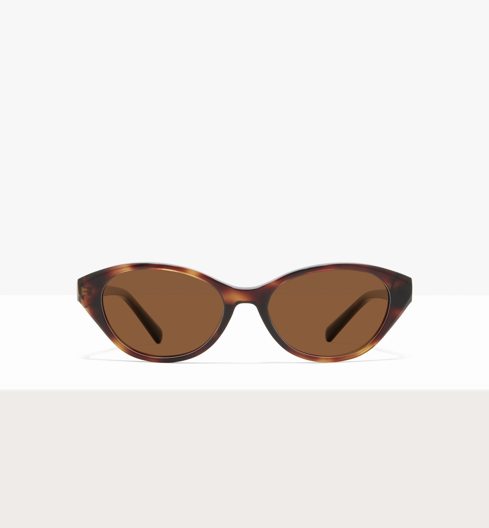 Brown Tort--front_image_sun