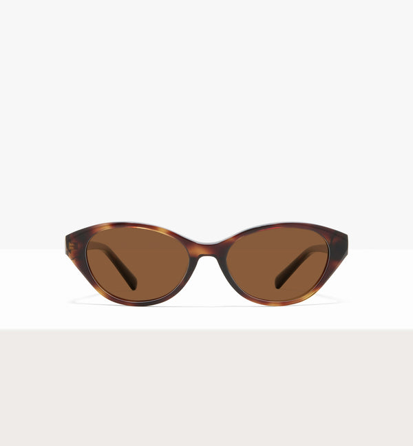 Brown Tort--front_image_sun