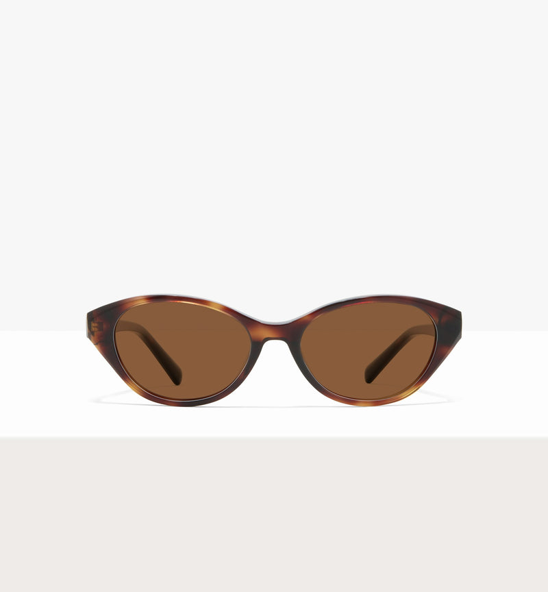 Brown Tort--front_image_sun