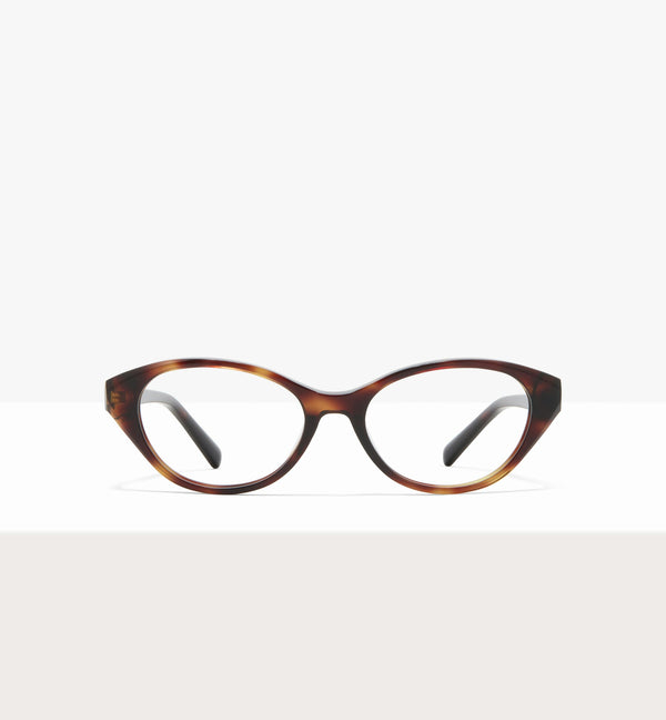 Brown Tort--front_image