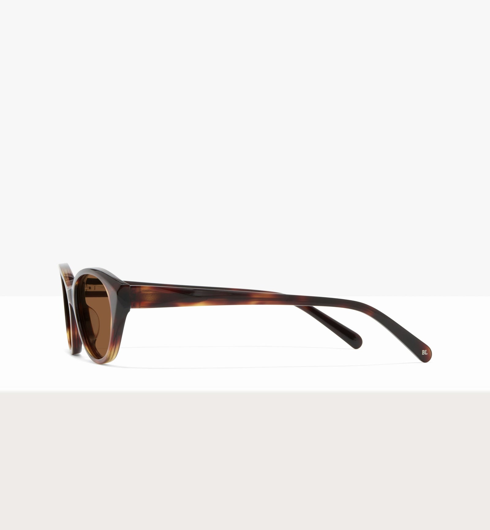 Brown Tort--side_image_sun