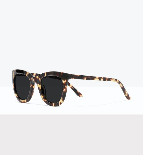 Fawn Tort--angled_image_sun