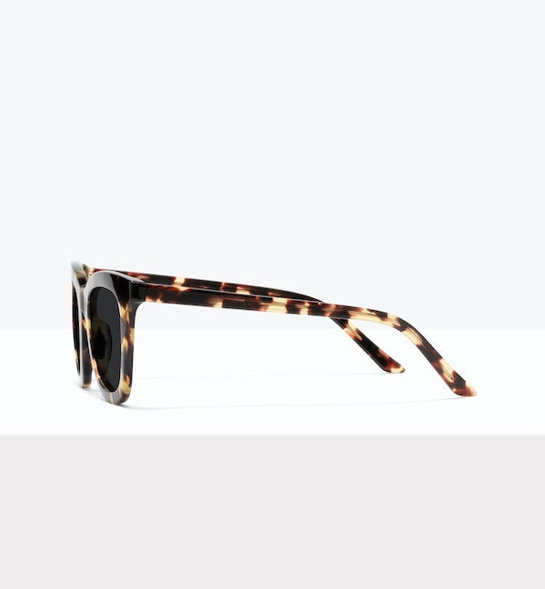 Fawn Tort--side_image_sun