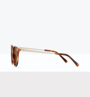 Tortoise--side_image_sun