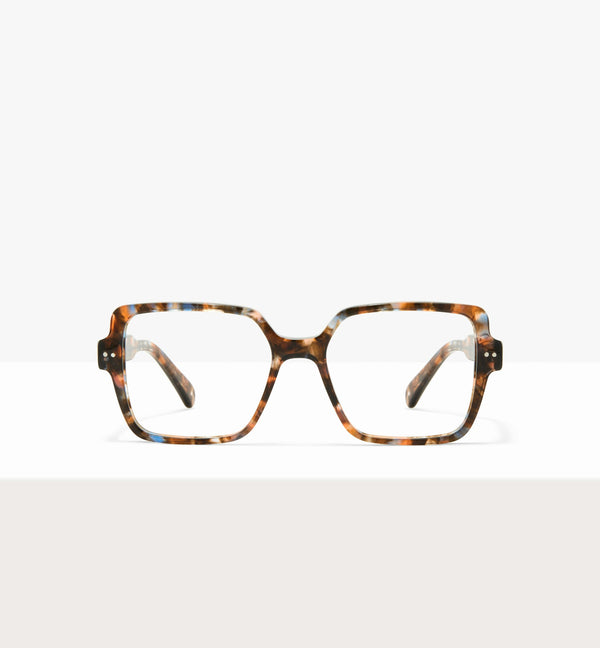Amber Tort--front_image