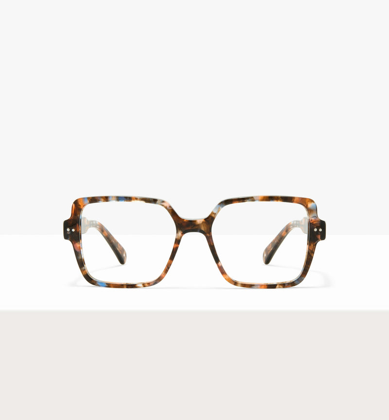 Amber Tort--front_image