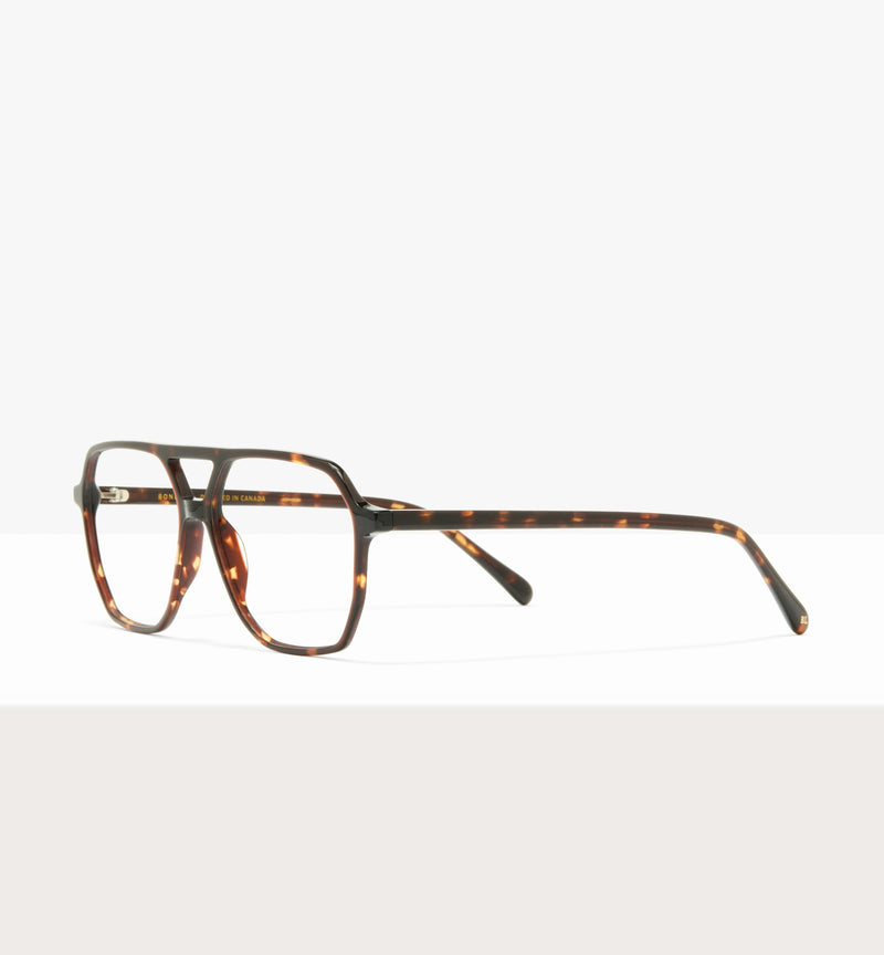 Clear Brown Tort--angled_image