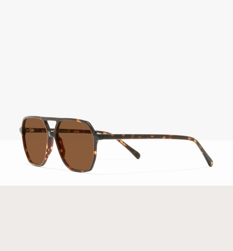 Clear Brown Tort--angled_image_sun