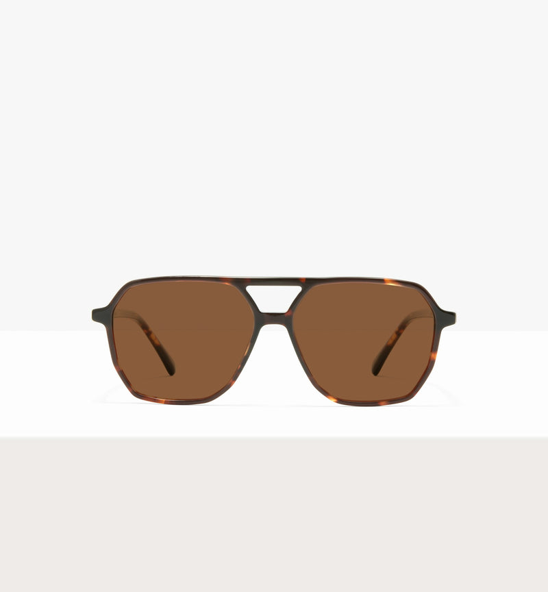 Clear Brown Tort--front_image_sun