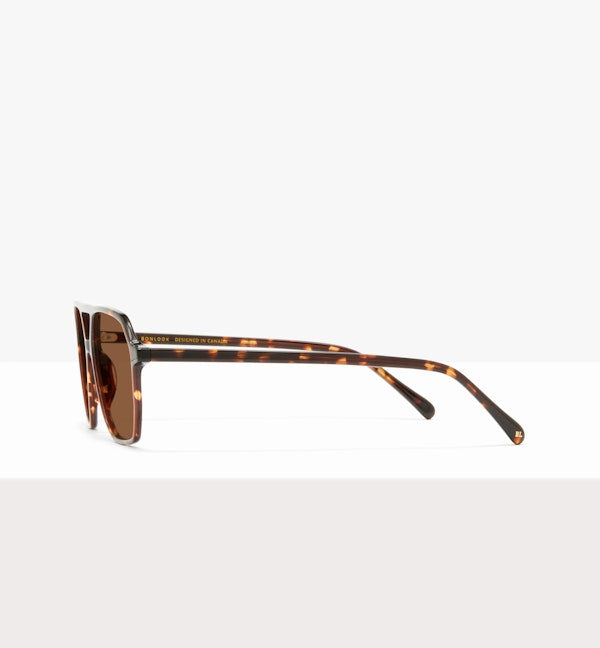 Clear Brown Tort--side_image_sun