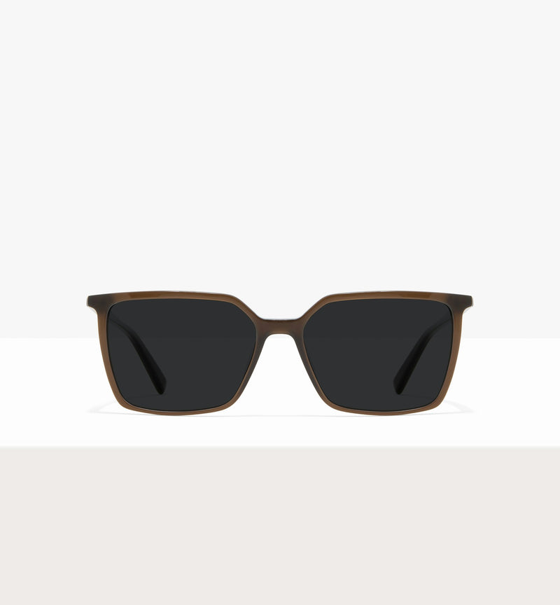 Cocoa--front_image_sun