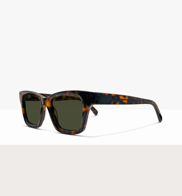 Brown Tort--angled_image_sun