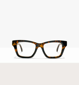 Brown Tort--front_image