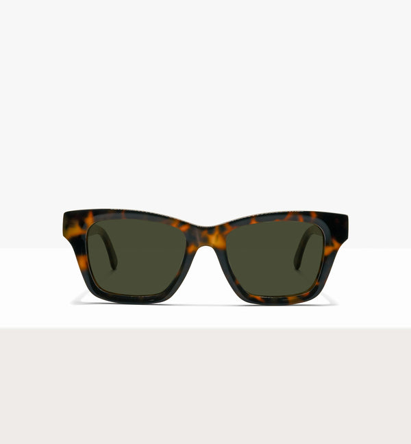 Brown Tort--front_image_sun