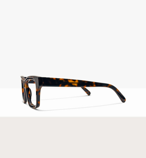 Brown Tort--side_image