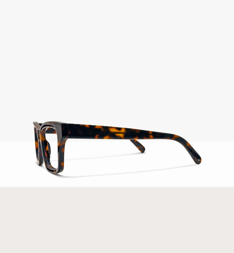 Brown Tort--side_image