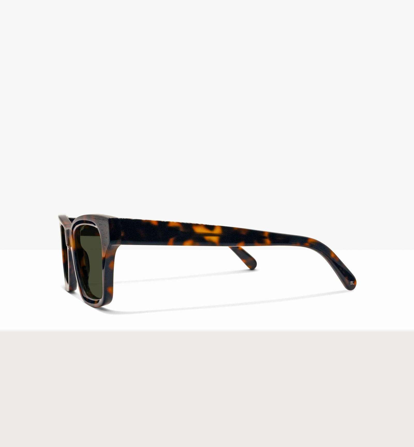 Brown Tort--side_image_sun