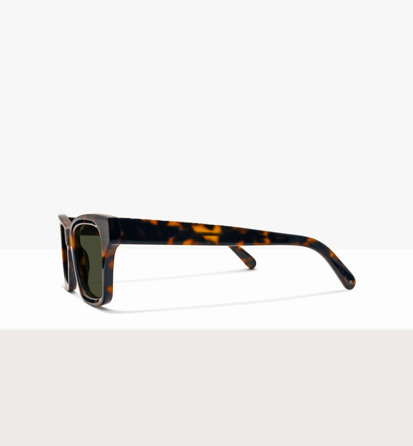 Brown Tort--side_image_sun