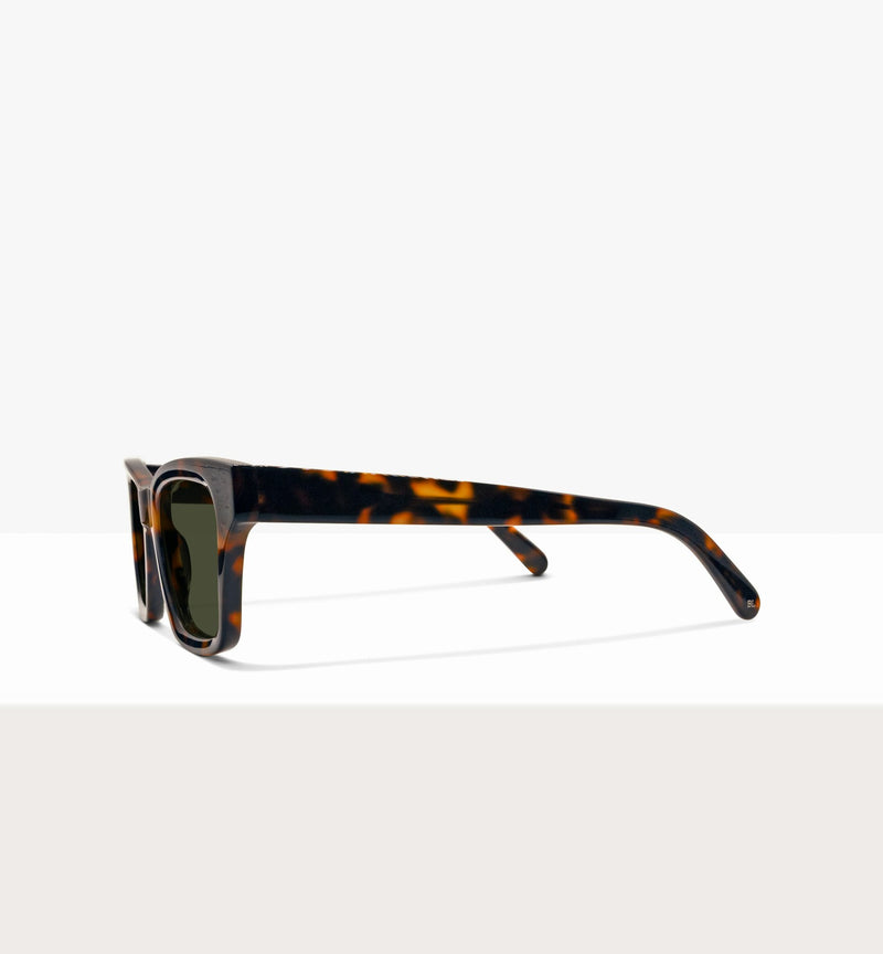 Brown Tort--side_image_sun