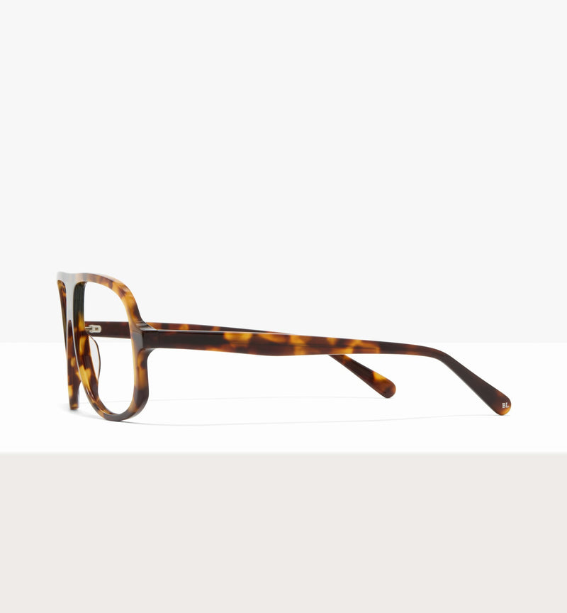 Dark Brown Tort--side_image