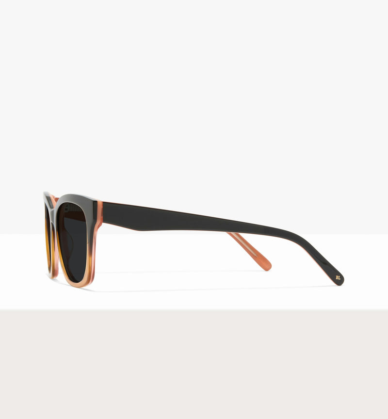 Brown Gradient--side_image_sun