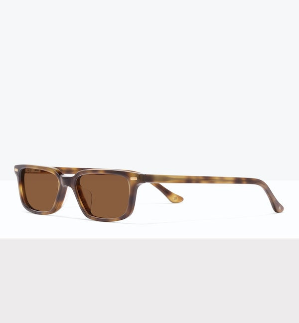 Ageless Tort--angled_image_sun