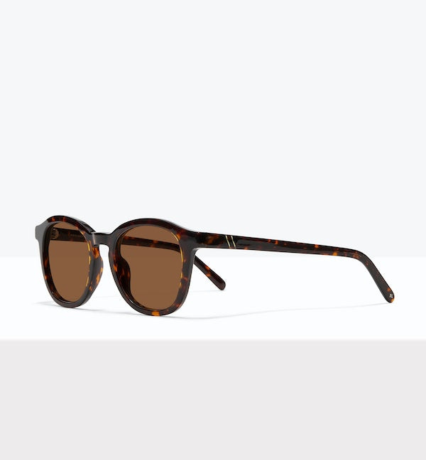 Brindle--angled_image_sun