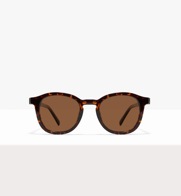 Brindle--front_image_sun