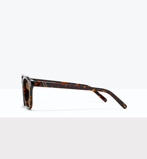 Brindle--side_image_sun
