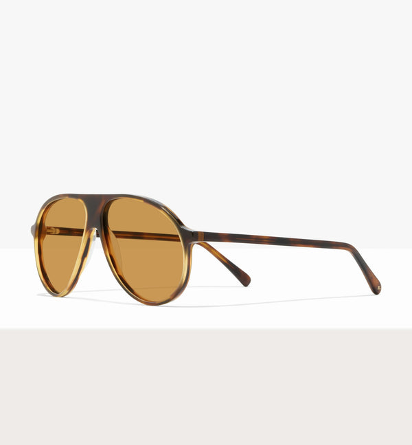 Brown Tort--angled_image_sun