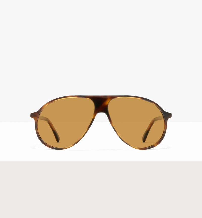 Brown Tort--front_image_sun