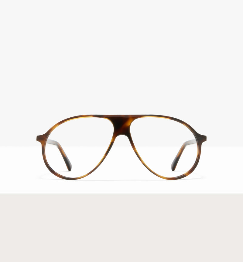 Brown Tort--front_image