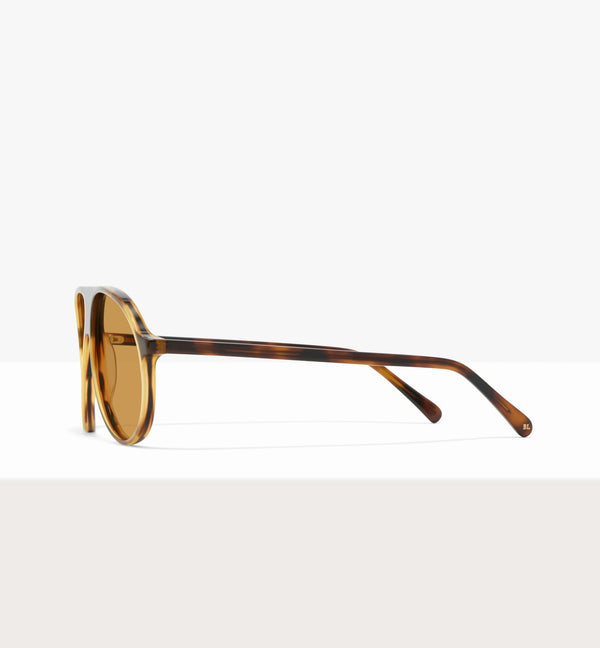 Brown Tort--side_image_sun