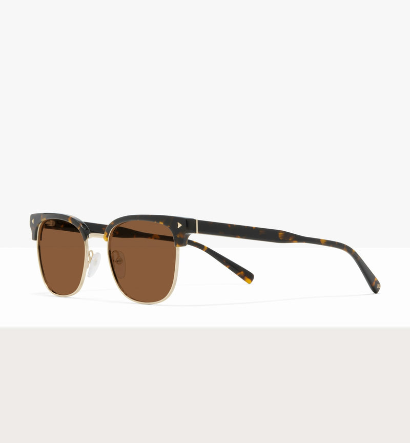 Dark Tort--angled_image_sun
