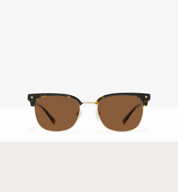 Dark Tort--front_image_sun