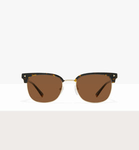 Dark Tort--front_image_sun