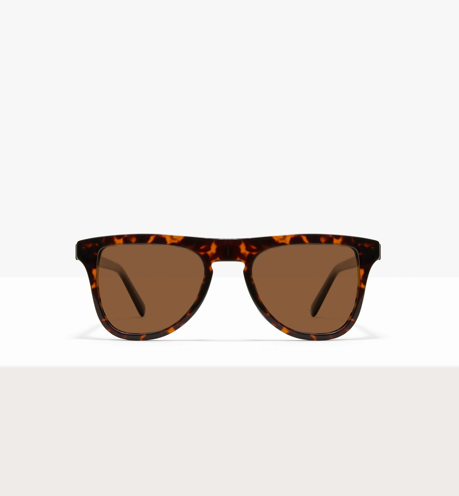 Brindle--front_image_sun