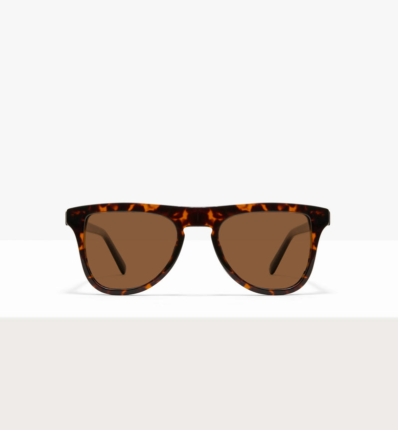 Brindle--front_image_sun