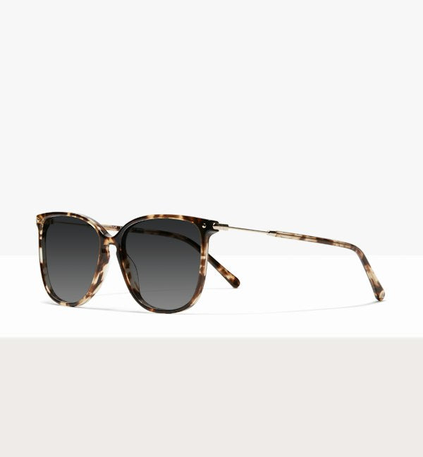 Snake Skin--angled_image_sun