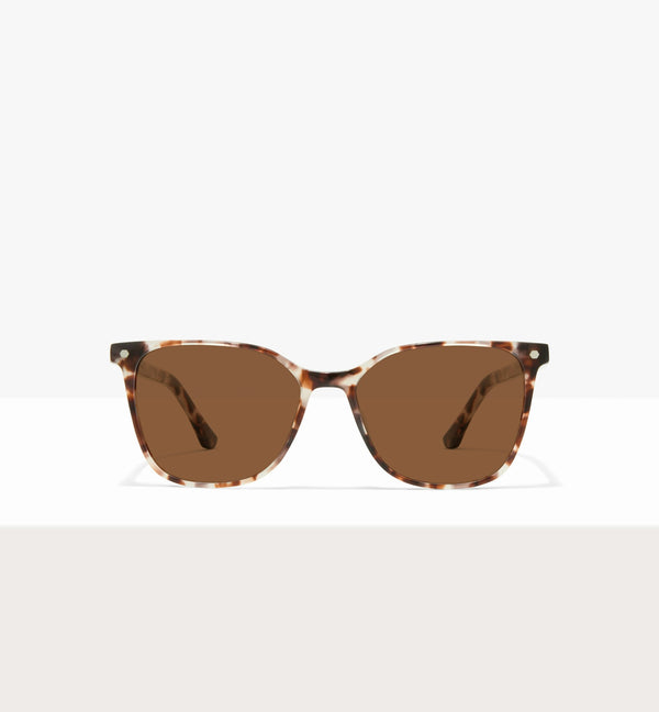 Cream Tort--front_image_sun