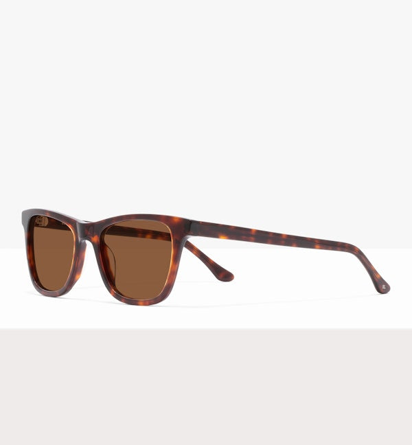 Tortoise--angled_image_sun