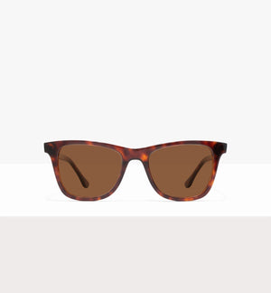 Tortoise--front_image_sun