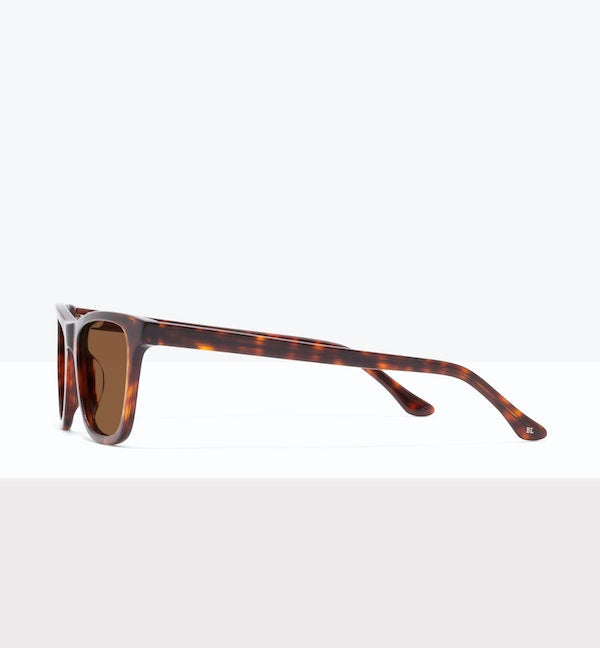 Tortoise--side_image_sun